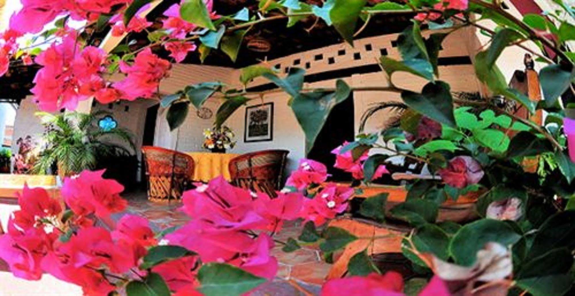 Hotel Villa Del Mar Tradicional ปูแอร์โตบาญาร์ตา ภายนอก รูปภาพ